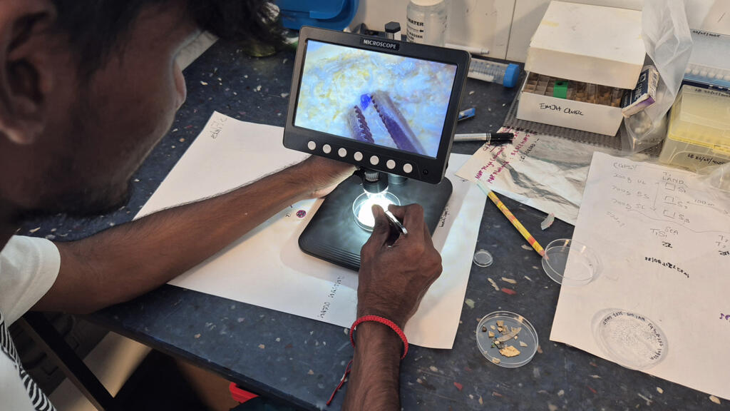 Le chercheur Chettun Bhonul observe, compte et classifie au microscope digital les micro-plastiques inférieurs à 300 micromètres collectés au fond de ses filets manta. Sur cet échantillon, un fragment bleu de plastique (invisible à l'œil nu), et des dizaines de fibres de plastiques. Il en prélèvera certains pour analyser le type de polymère du plastique par spectrométrie infrarouge.