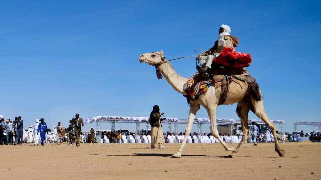 Tchad: le Festival international des cultures sahariennes entretient la tradition des courses de dromadaires