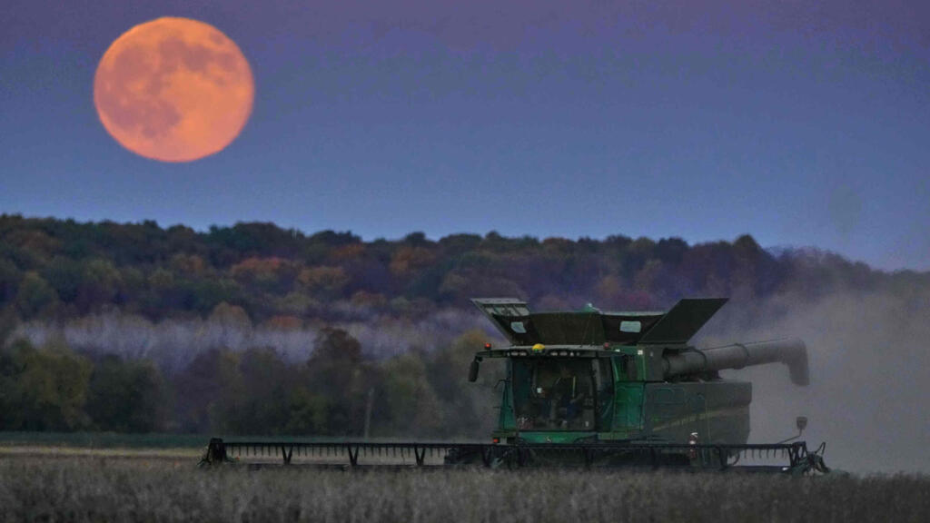 Aux États-Unis, les producteurs de soja tournent la page d'une année noire