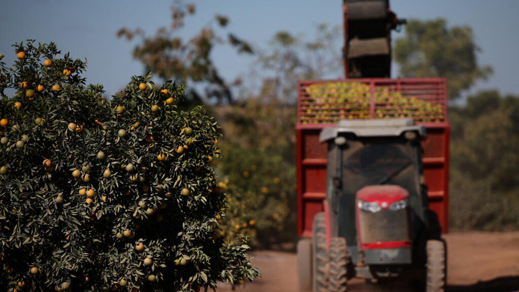 Entre os produtos brasileiros isentos da sobretaxa de Trump estão suco de laranja, aviões, combustíveis, veículos e peças, produtos siderúrgicos, metais e minerais, fertilizantes e madeiras.