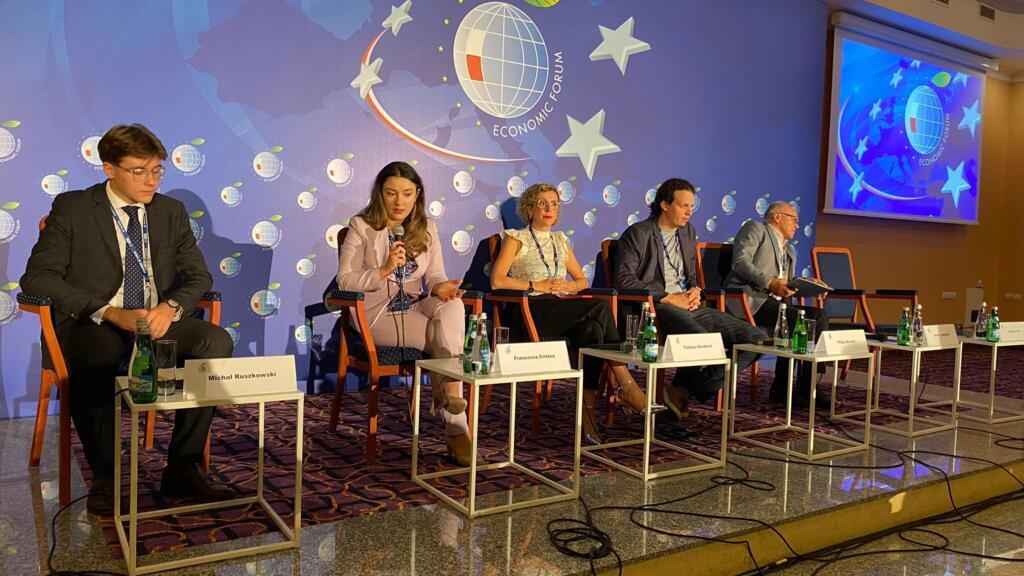 Maria Francesca Cristea, de la Europuls - Centrul de Expertiză Europeană.