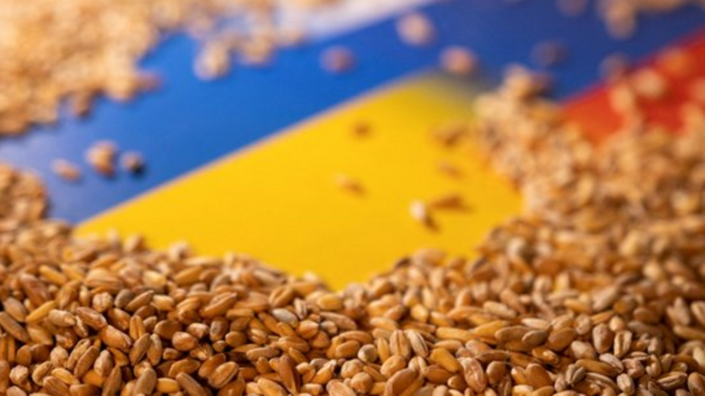 Agricultorii români, polonezi, bulgari, unguri sau slovaci acuză că toate problemele lor economice sunt cauzate de importurile din Ucraina.