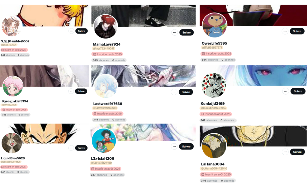 Ces comptes, créés en août 2025, ont tous une photo de profil issue de l'univers manga ainsi qu'un nombre d'abonnés similaire.
