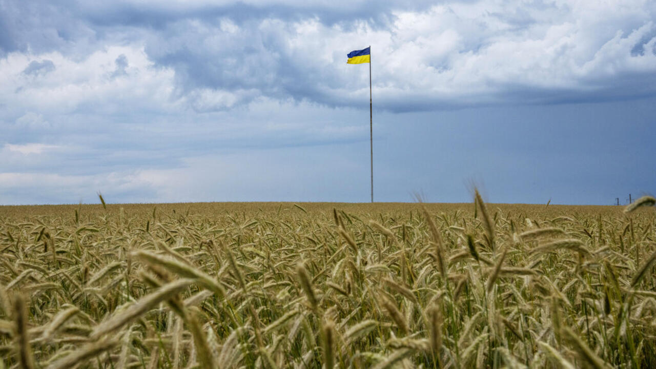 Cereals Ukraine hopes to resume exports "this week" Teller Report