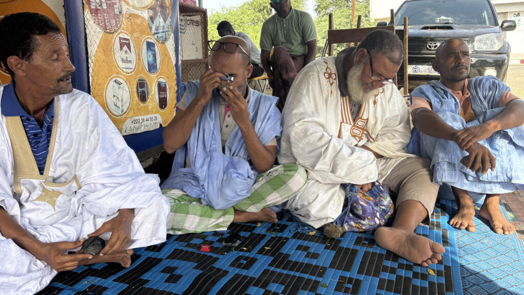 Des chasseurs nomades de météorites examinent les pierres qu'ils ont trouvées dans le désert du Sahara.