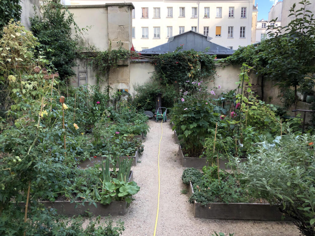 Pesquisa de Nagib em Paris ocorreu entre 2018 e 2019.