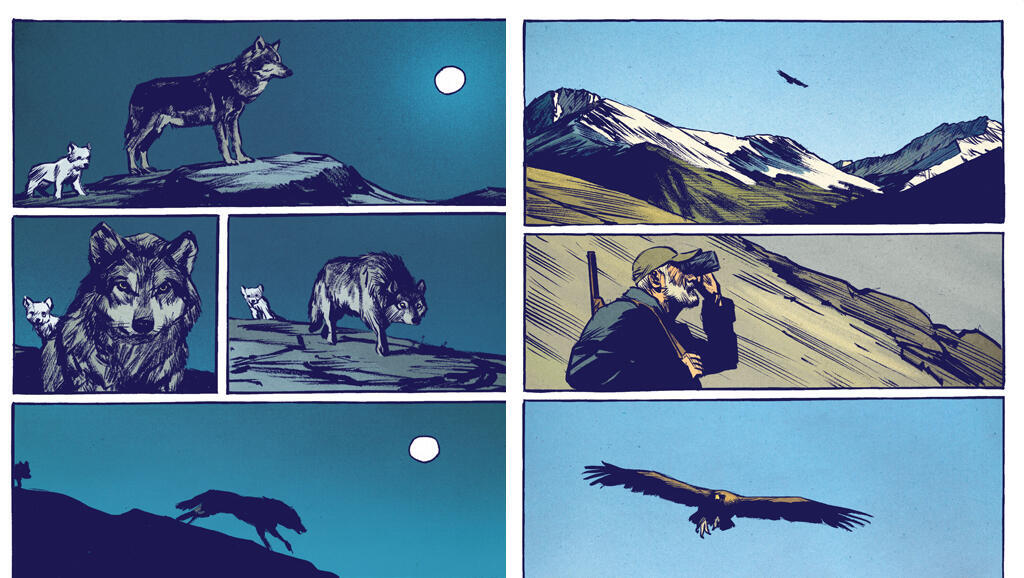 «Le Loup», une bande dessinée de Jean-Marc Rochette