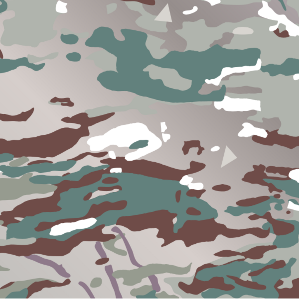 Le nouveau bariolage multi-environnement des treillis des armées françaises comprend des tâches blanches qui apportent plus de relief.
