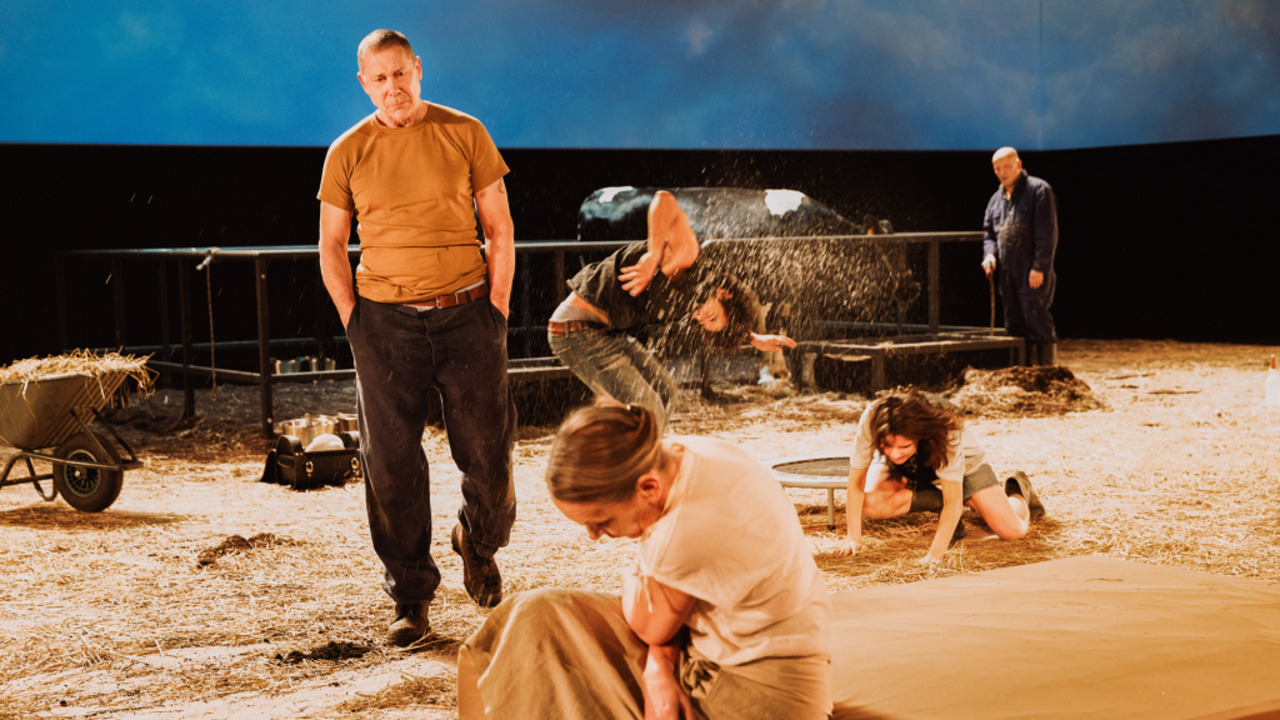 подросковый нудизм По следам паразита: в Париже прошел показ спектакля Иво ван Хове «Мой дорогой питомец»