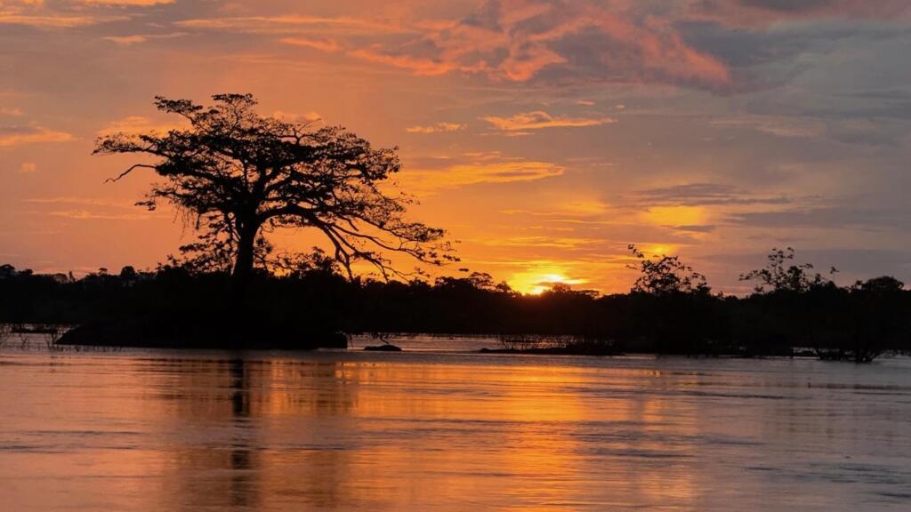 Previsões mais pessimistas da ciência indicam aquecimento de até 6ºC da temperatura média na Amazônia até o fim do século.