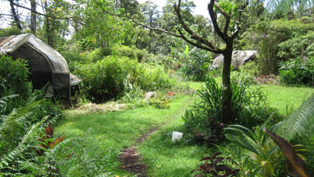 La permaculture.