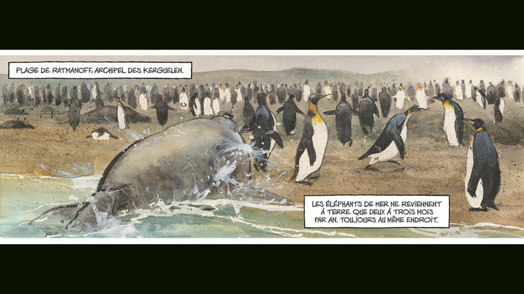 L’arrivée sur la plage de Ratmanoff restera comme un des moments les plus émouvants du séjour de l’auteur aux Kerguelen.