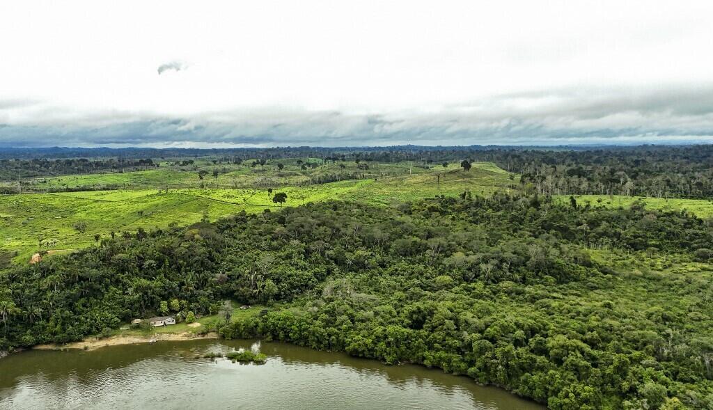 Ao redor da Terra Indígena Koatinemo, o desmatamento avança para dar lugar à pecuária.