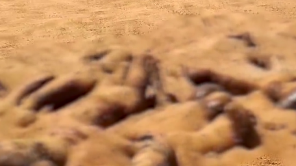 Plusieurs corps sans vie ensevelis à Gossi au Mali.