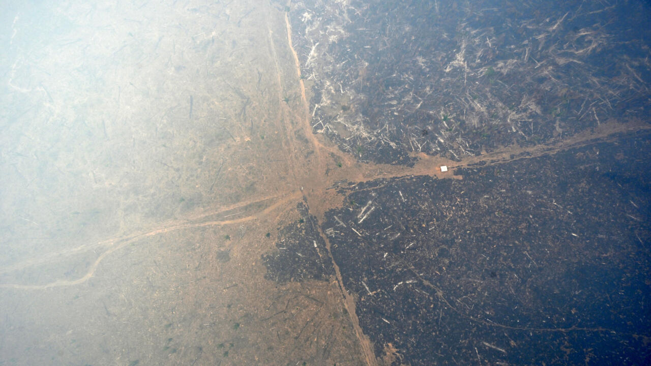 Brésil: la déforestation de l'Amazonie proche du point de «non-retour», alerte un rapport