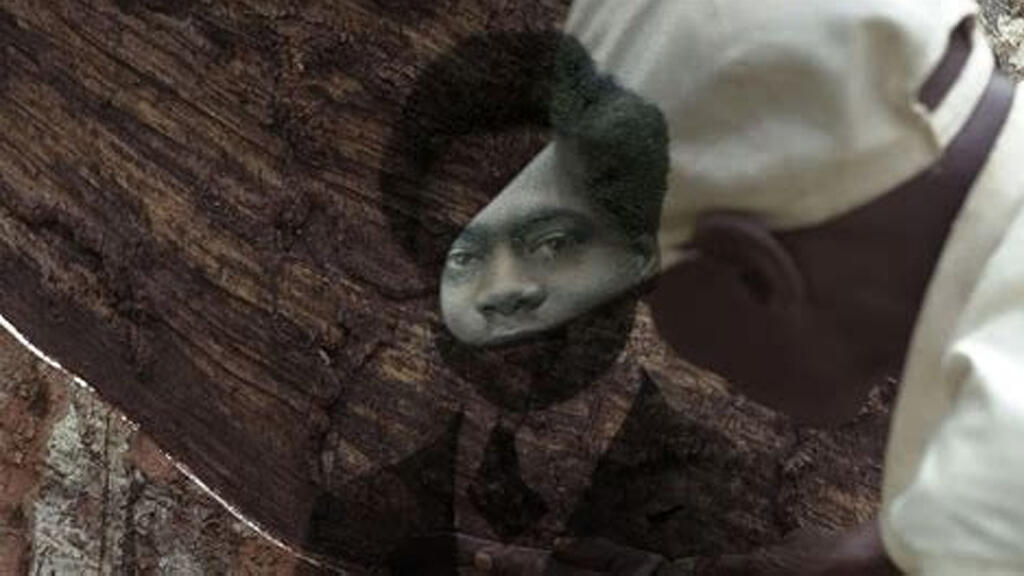 Sammy Baloji filme l'Arbre de l'authenticité, entre histoire coloniale, écologie et mémoire