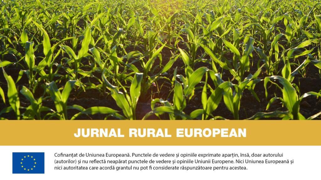 Jurnal Rural