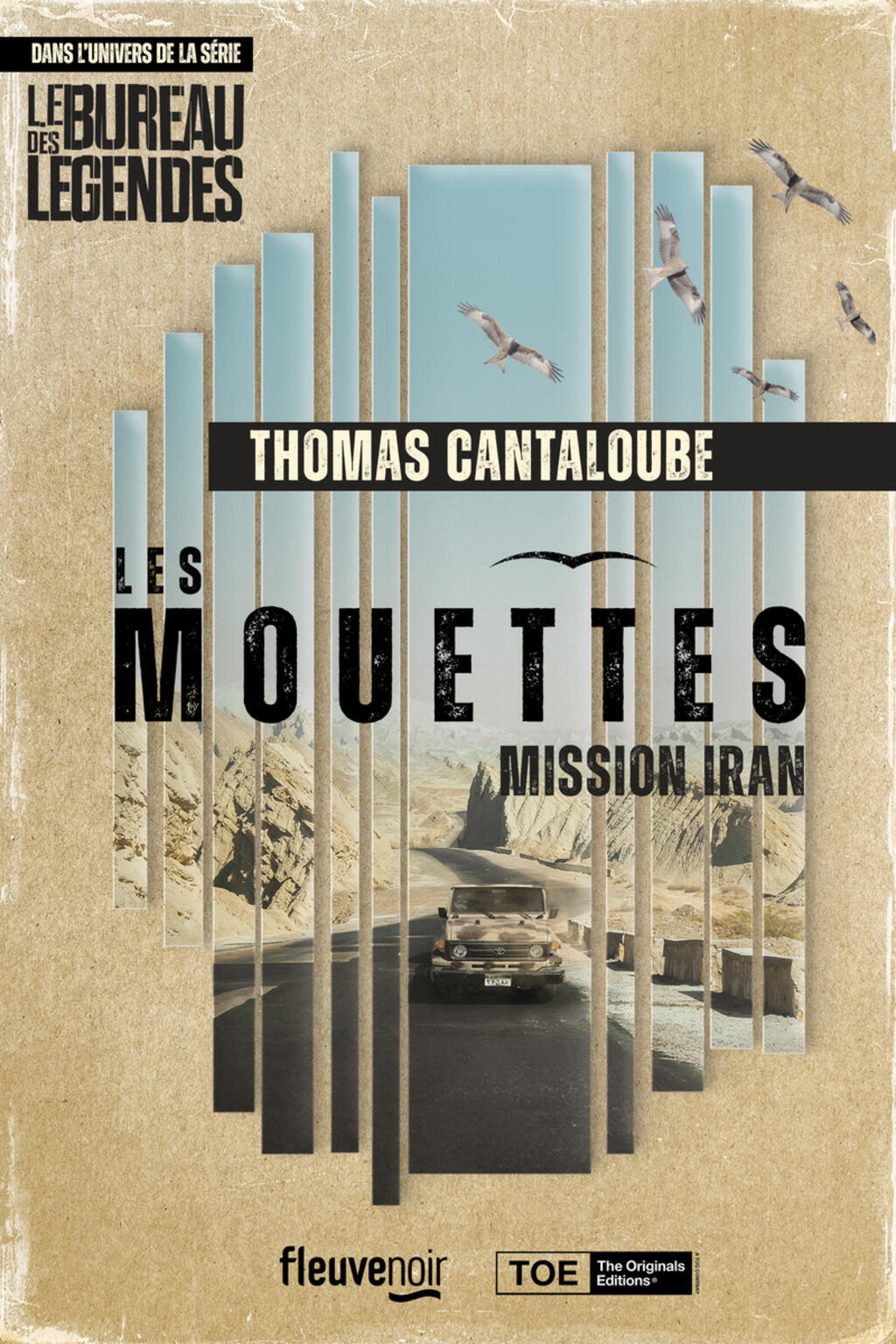 Les Mouettes Mission Iran de Thomas Cantaloube
