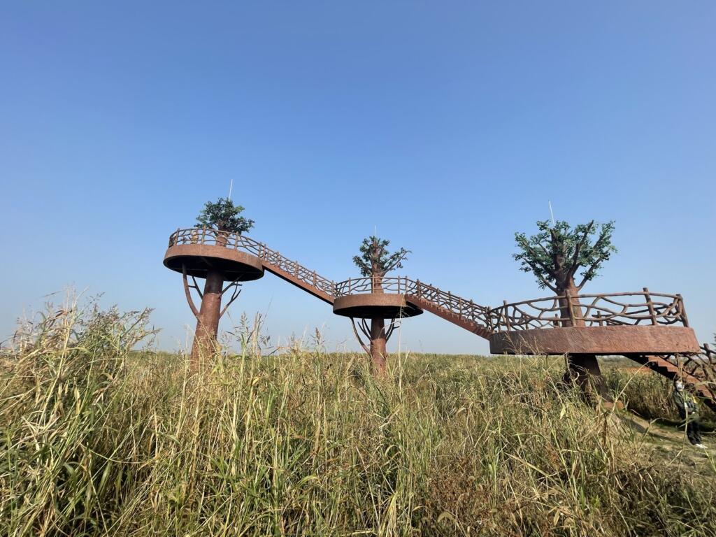 La réserve du Lac Chenhu, paradis pour les oiseaux migrateurs se trouve à 90 km au sud-ouest, à une heure trente de bus de la capitale du Hubei.