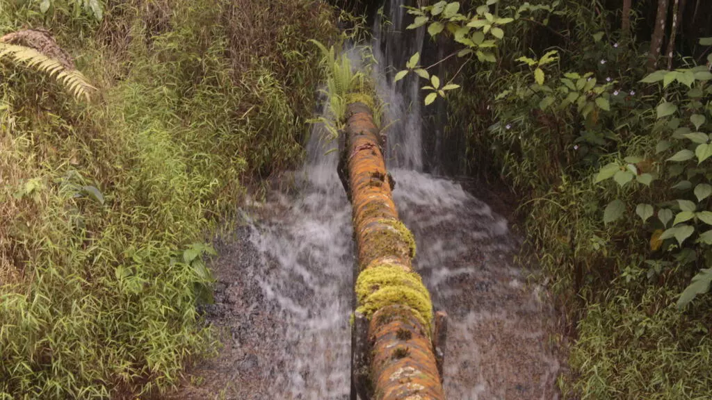 Municipal Water Source Buea