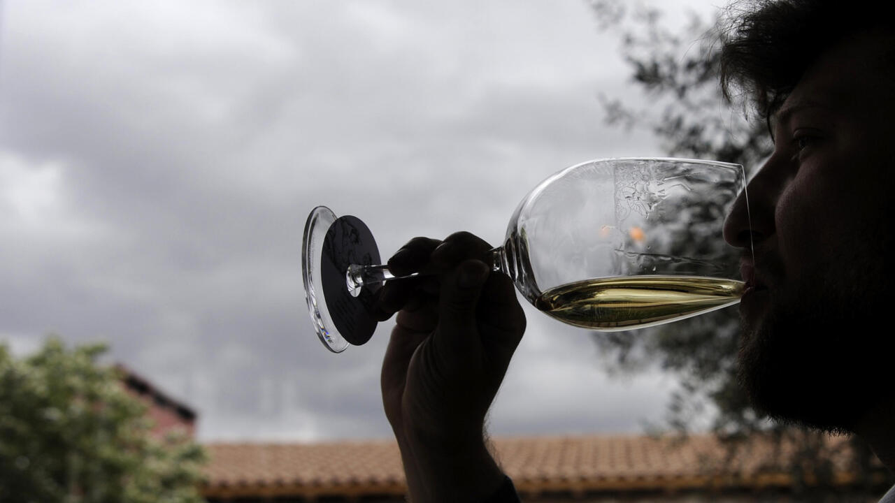 Beykush, the Ukrainian wine awarded at the Decanter competition in