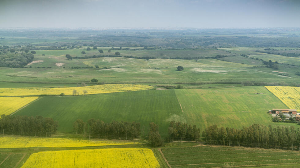 Italie un travailleur agricole immigré indien meurt dans des