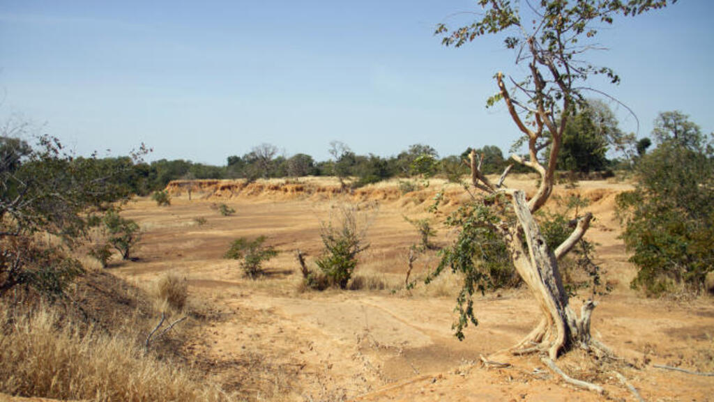 Des terres desséchées près du lac Ouenia, au Mali, en novembre 2019.