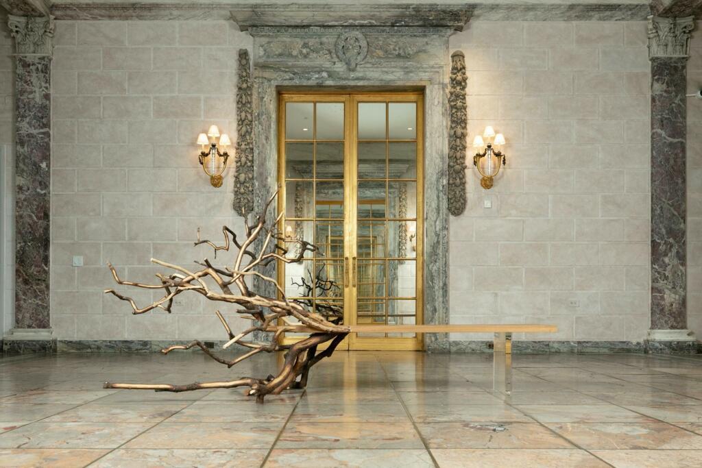 Visuel Villa Albertine Fallen Tree de Benjamin Graindorge (France 1980 et Ymer&Malta 2018)