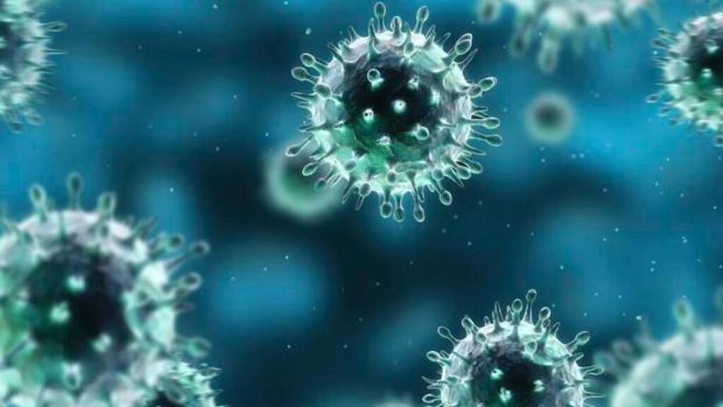 Une vue  microscopique du coronavirus.