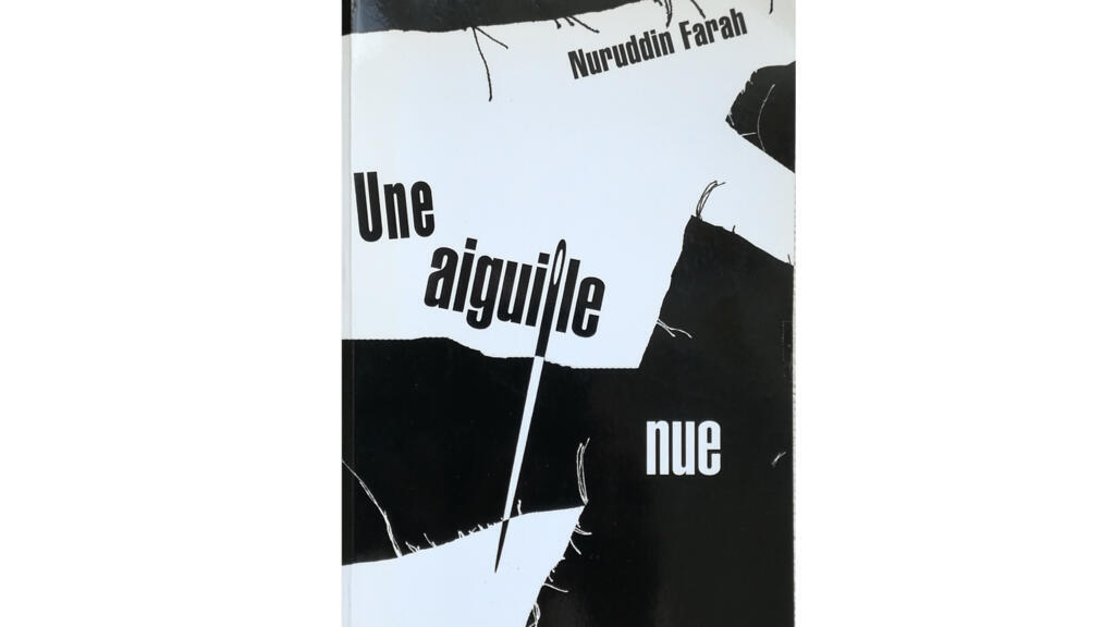 La couverture de livre "Une aiguille nue"