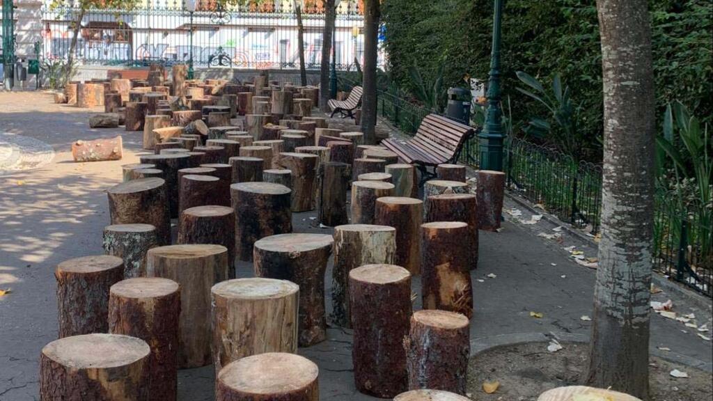 Instalação “Beyond the trees”, de Túlio Dek, com restos de árvores destruídas por queimadas.