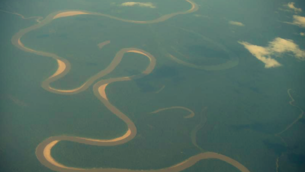 Une vue aérienne de la forêt amazonienne, dans l'ouest de la Guyane.