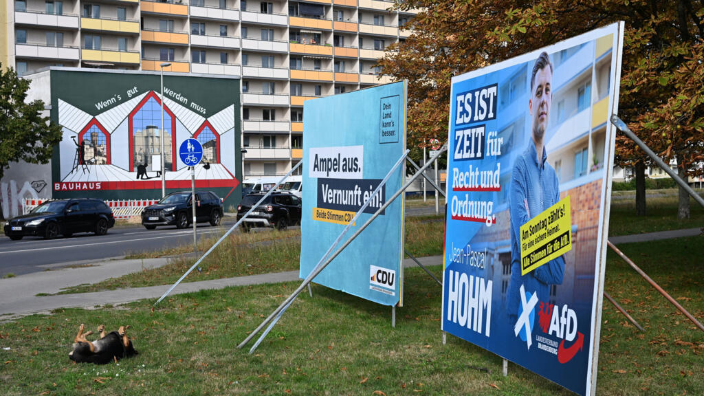 Allemagne: l'AfD veut relancer son mouvement de jeunesse, loin des polémiques