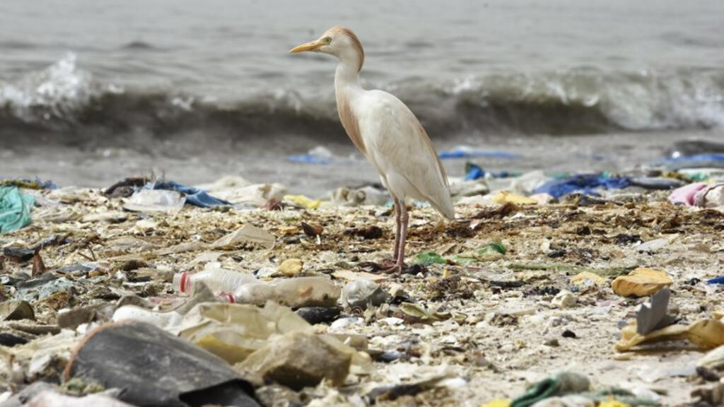 À peu près 95% de la pollution plastique se situe sur les fonds marins, selon l’Ifremer.