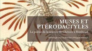 2 Pourquoi Les Volcans Autour De La Question