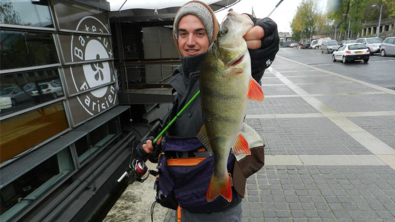 Paris's street fishing fans hooked on fish in the Seine