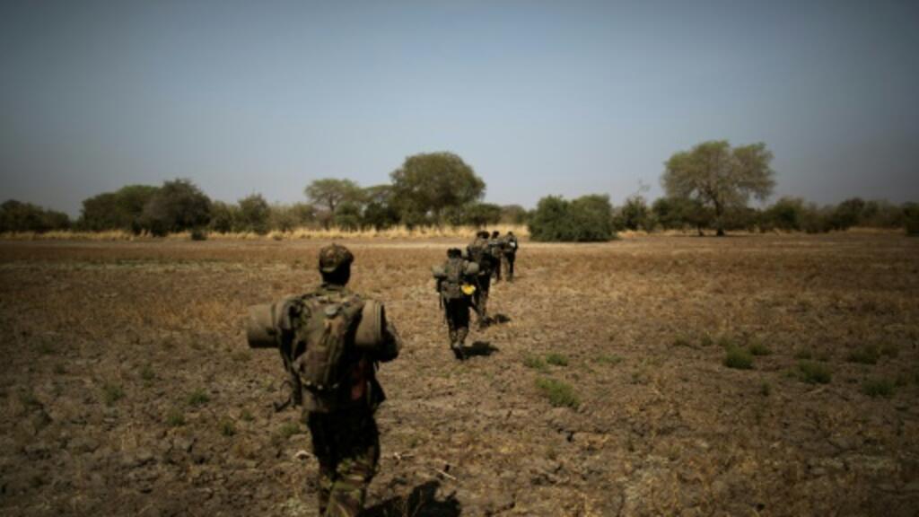 Tchad: le partenariat avec African Parks pour la gestion des espaces protégés a finalement été relancé