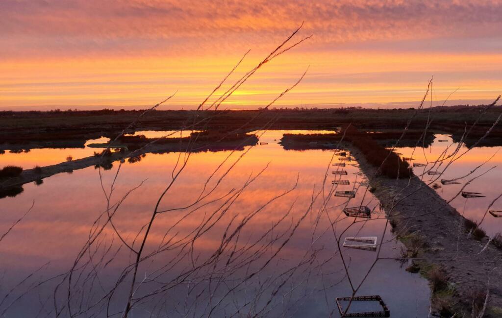 Une claire, un bassin d'eau de mer où les huîtres sont affinées.