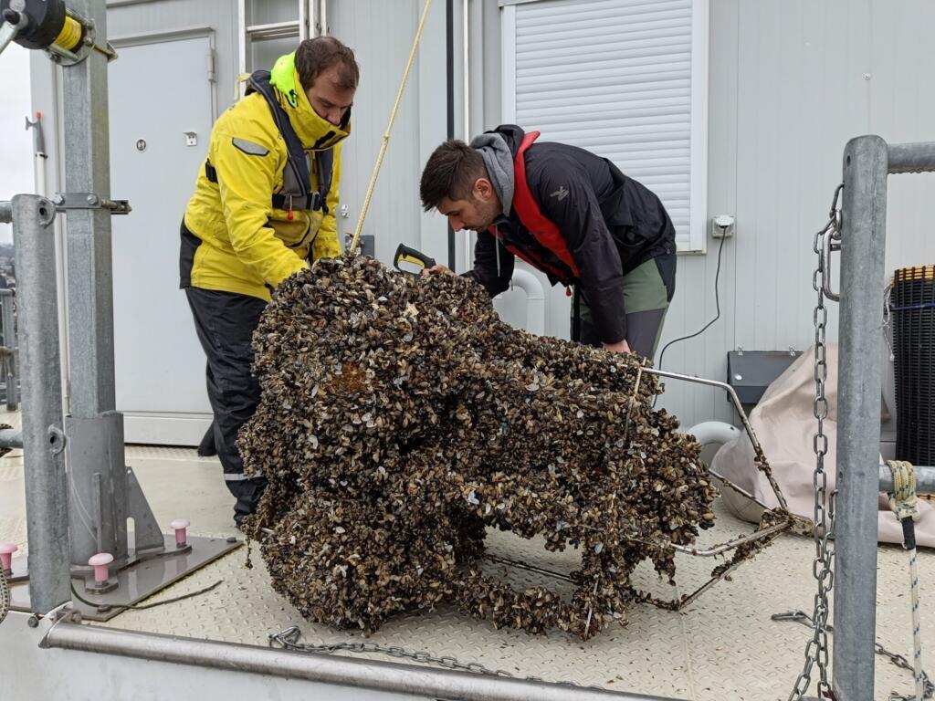 Un instrument sous-marin de LeXPLORE recouvert de moules quagga.