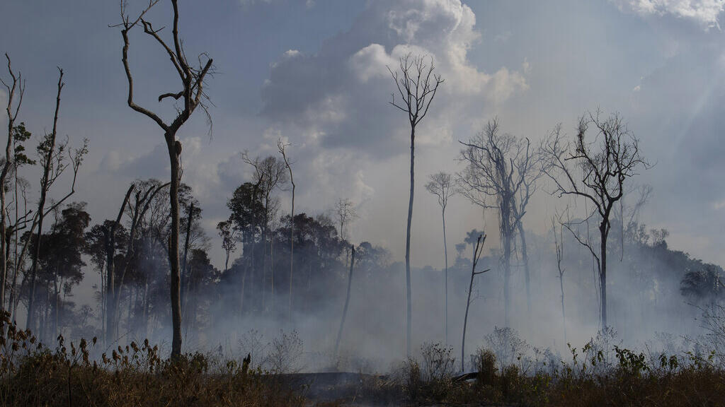 Principal fonte de emissões de gases de efeito estufa do Brasil é o desmatamento. Na imagem, floresta em Alvorada, na região amazônica de Novo Progresso, queima em agosto de 2019. (AP Photo/Leo Correa)