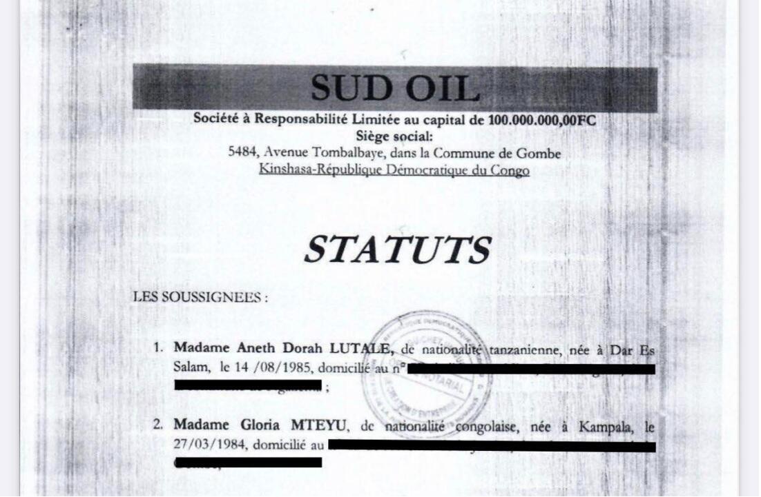 Les statuts de Sud Oil en 2013.