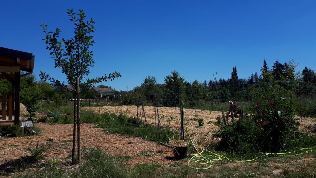 Vue sur le potager.