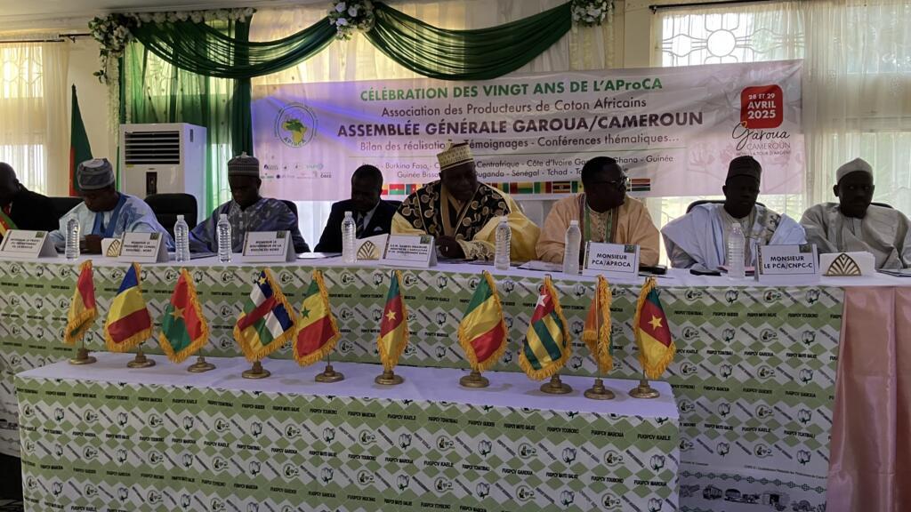 L'assemblée générale de l'AProCA, l'association des producteurs de coton africains, le 29 avril 2025.