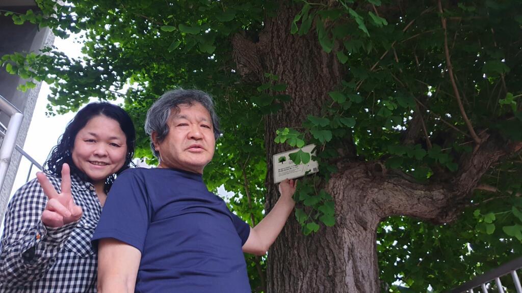 Mutsumi Fujieda et son mari posent devant leur ginkgo biloba, rescapé de la bombe atomique de Hiroshima.