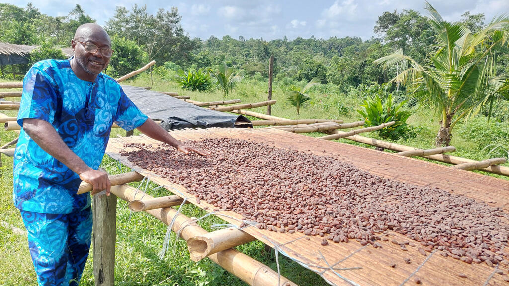 Ambroise N'Koh dans sa plantation de cacao à 40 km d'Abidjan devant des fèves en train de sécher. Après plusieurs jours de fermentation, le cacao est placé sur ce séchoir solaire.