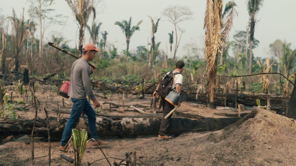 "O Território" é sobre a luta pela sobrevivência, mas acima de tudo sobre a coragem da comunidade - que vive diante de ameaças e mortes - e as maneiras encontradas para proteger a floresta tropical.