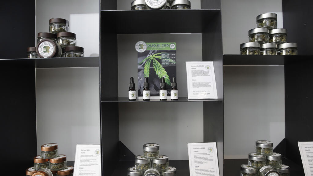 Governo da Itália anunciou que pretende proibir o cultivo e a venda de "cannabis light"