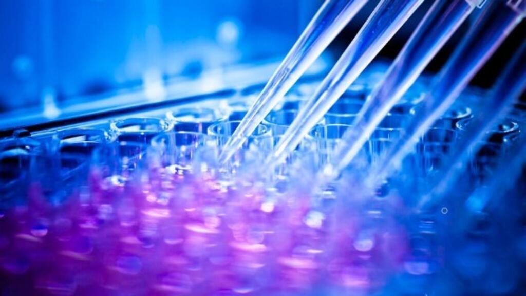 Pfizer et Wilco lancent la 4ème édition du Pfizer Healthcare Hub France aux jeunes pousses françaises dont l’objectif est d’améliorer le parcours de soin et la qualité de vie des patients.