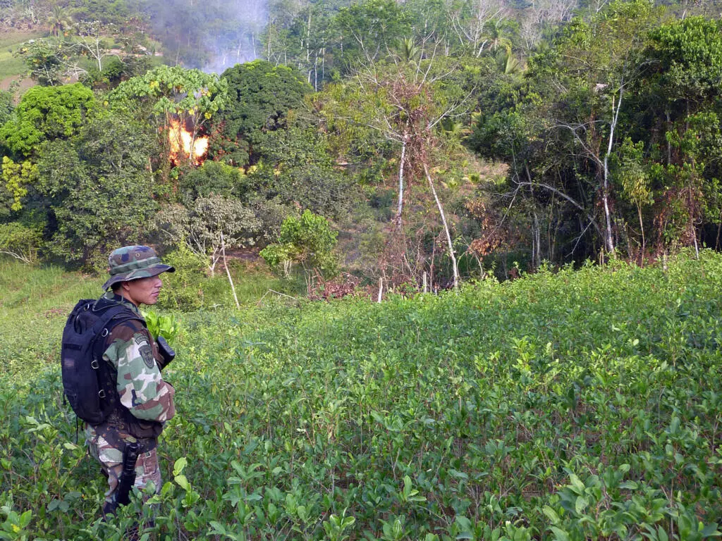 Un soldado peruano patrulla en un campo de coca durante un operativo de destrucción de un laboratorio de cocaina, en el valle del Apurimac (VRAEM), en el sudoeste del país (Foto de ilustración).