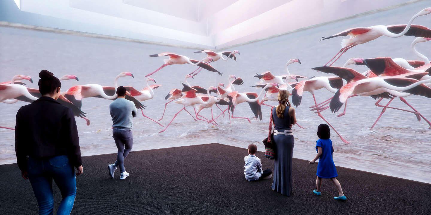 Otra sala de la exposición.